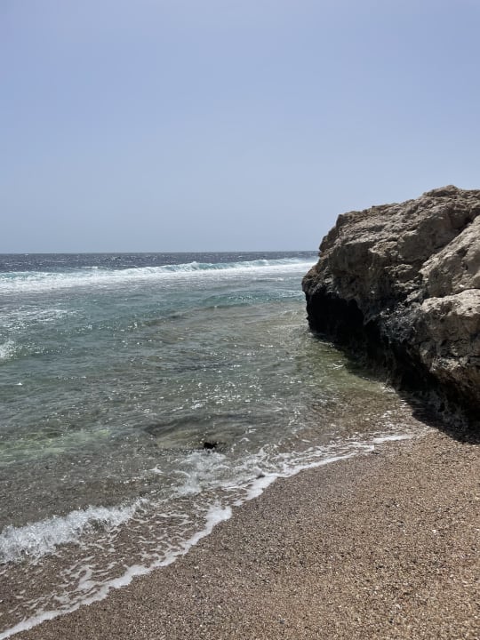 Strand Steigenberger Resort Alaya Marsa Alam - Red Sea - Adults only