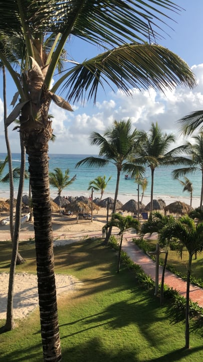 Zimmer Vik Hotel Arena Blanca & Cayena Beach