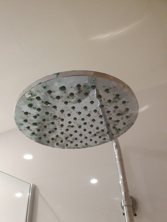 Zimmer TUI MAGIC LIFE Penelope Beach