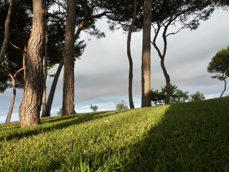 Garten Iberostar Waves Playa de Muro