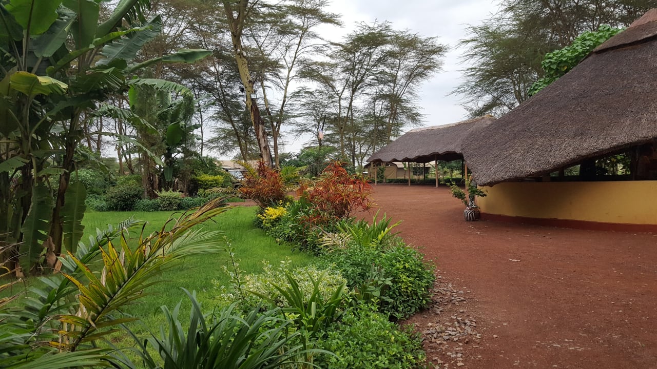 Gartenanlage Africa Safari Lake Manyara