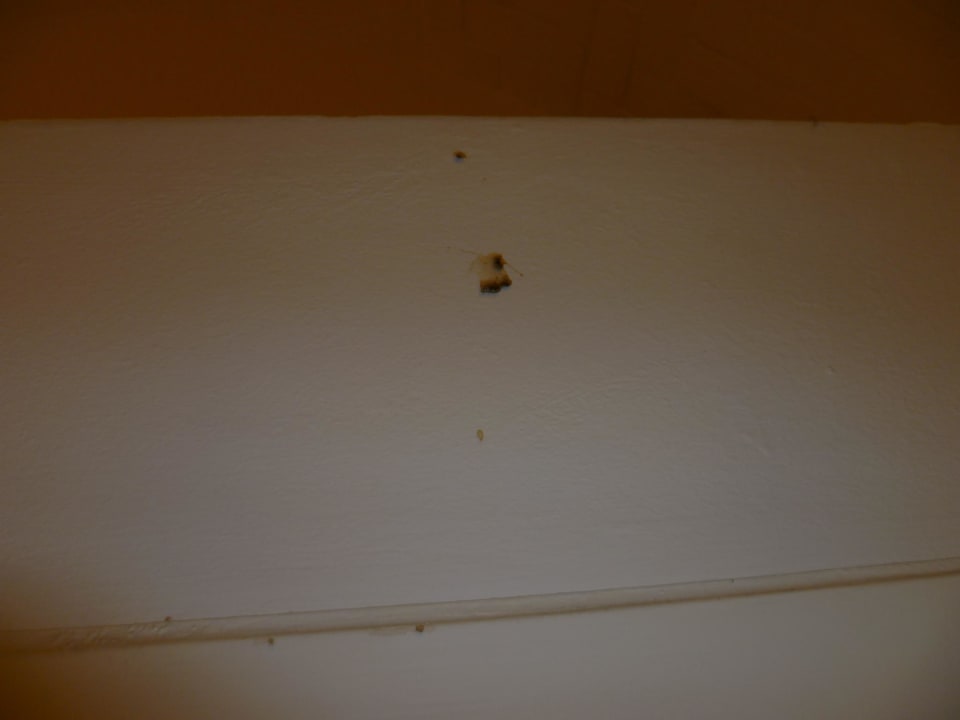 Platt gemachte Tiere El Mouradi Club Kantaoui