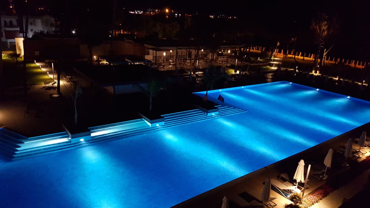 Pool Acanthus Cennet Barut Collection