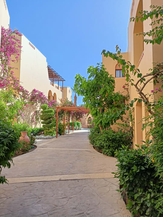 Gartenanlage Steigenberger Coraya Beach - Adults only