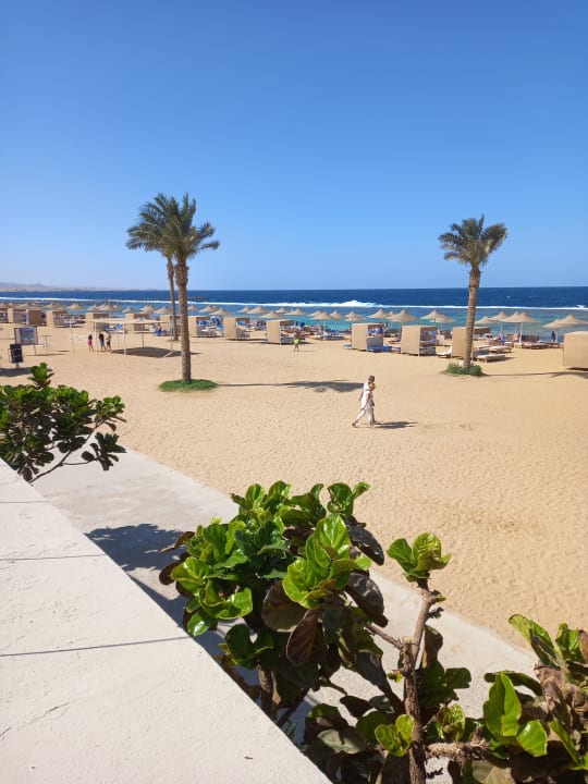 Strand Pickalbatros Sea World Resort - Marsa Alam