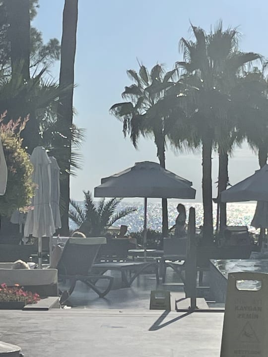 Pool Acanthus Cennet Barut Collection