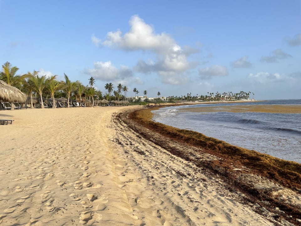 Strand Live Aqua Punta Cana - All Inclusive - Adults Only