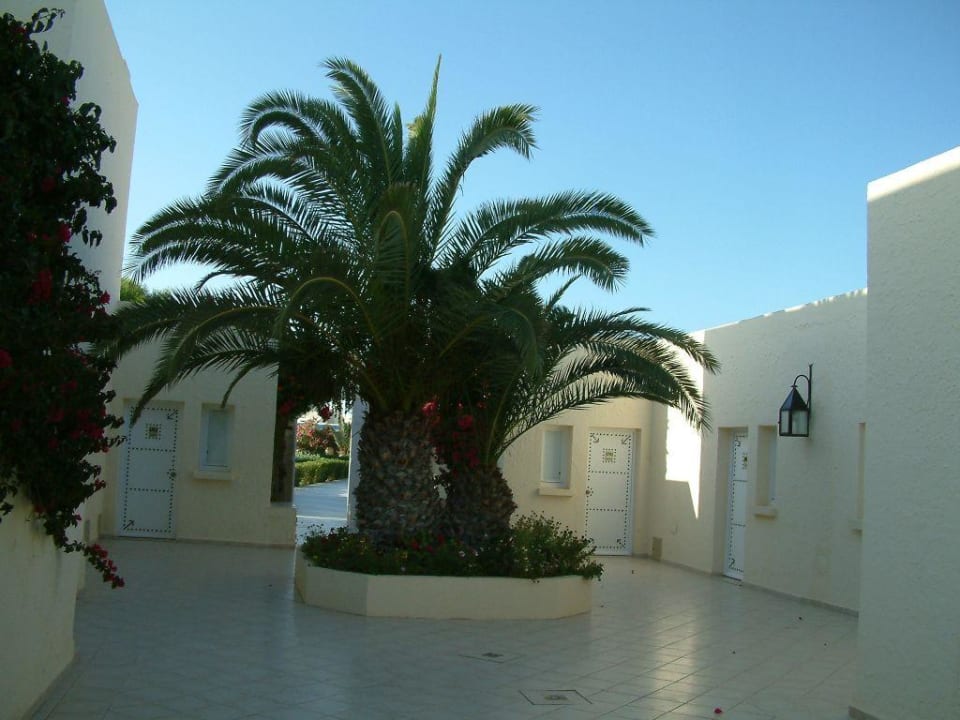 Innenhof zu den Zimmern TUI MAGIC LIFE Penelope Beach