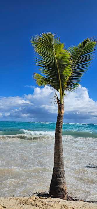 Sonstiges Hotel Riu Palace Punta Cana