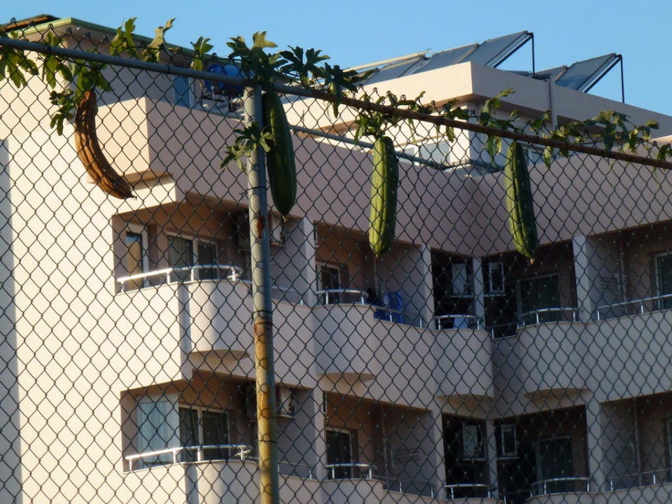 Hotel Lonicera Resort & Spa Hotel