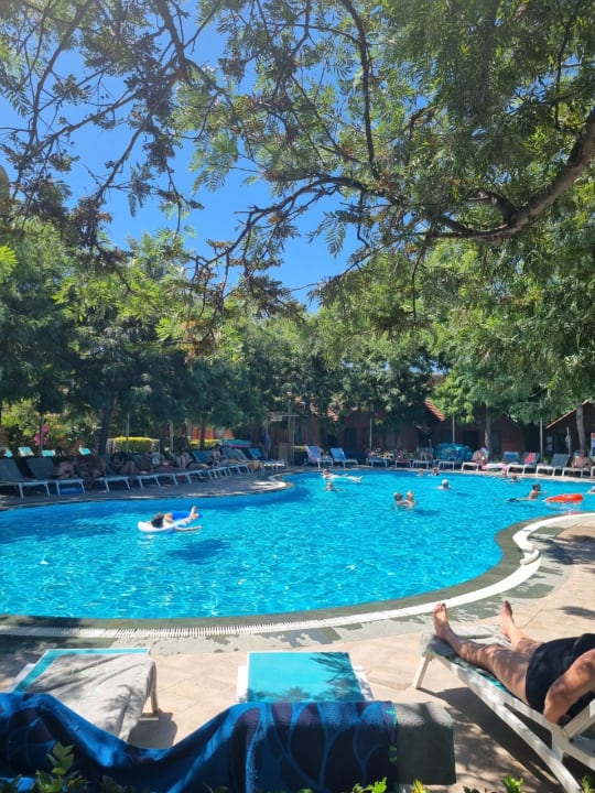 Pool Can Garden Beach