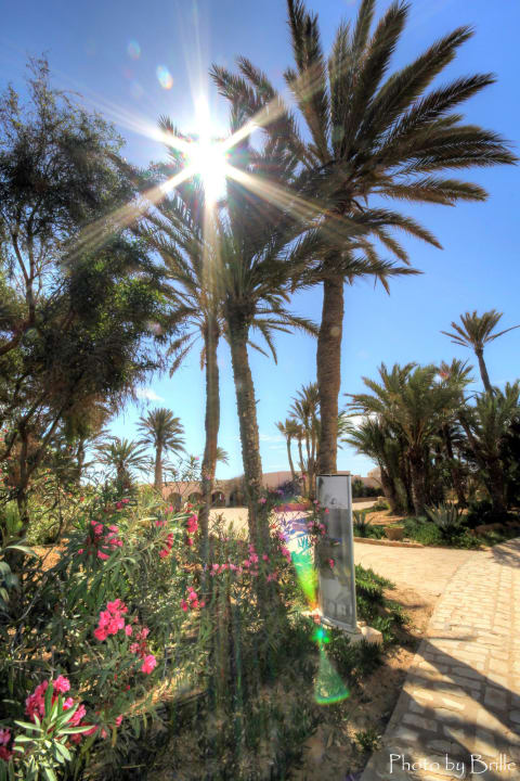 Unter Palmen Zita Beach Resort