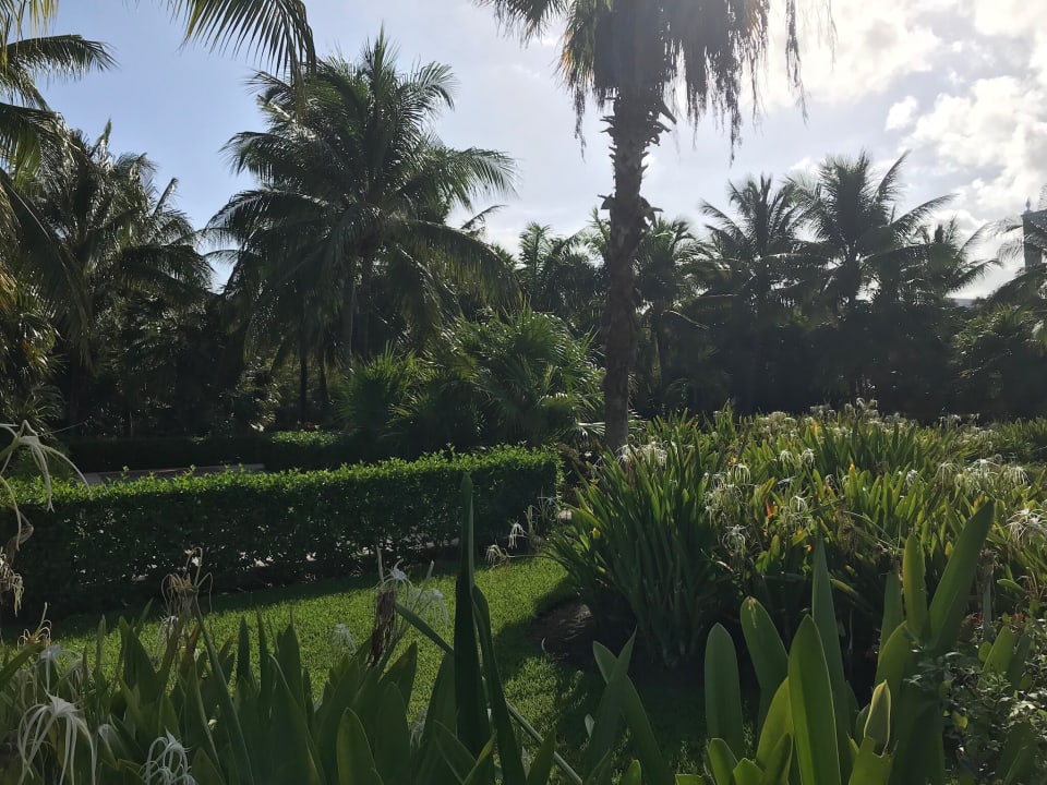 Gartenanlage Dreams Tulum Resort & Spa