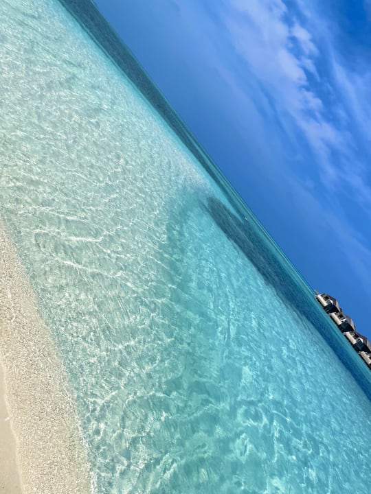 Strand Jawakara Islands Maldives