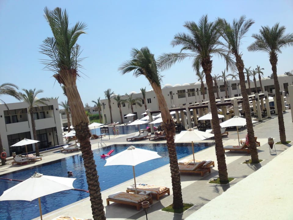 Blick aus unserem Zimmer Hotel Reef Oasis Palms