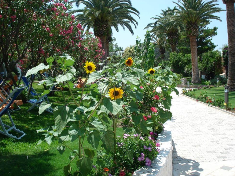 Erholung für die Seele Aldiana Club Rocca Nettuno Calabria