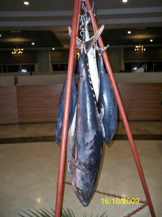 Fischabend im Hauptrestaurant Seaden Sea World Resort & Spa