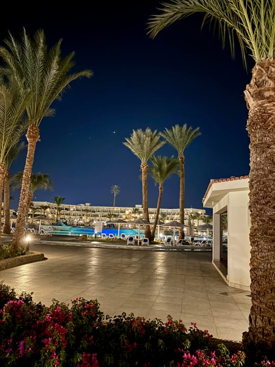 Pool Pharaoh Azur Resort