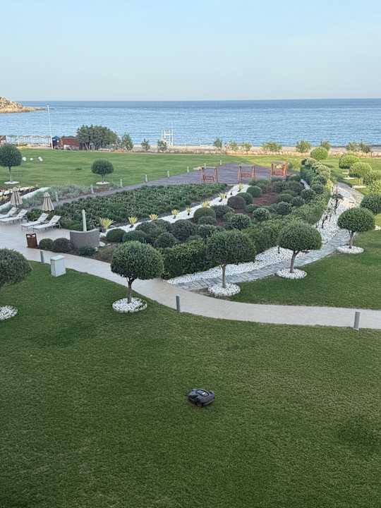 Außenansicht Elysium Resort & Spa Hotel