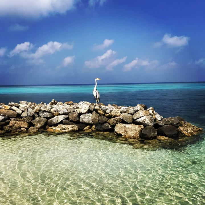 Strand Sun Siyam Olhuveli