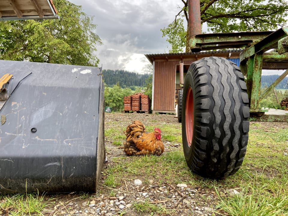 Sonstiges Lindenhof Briegel