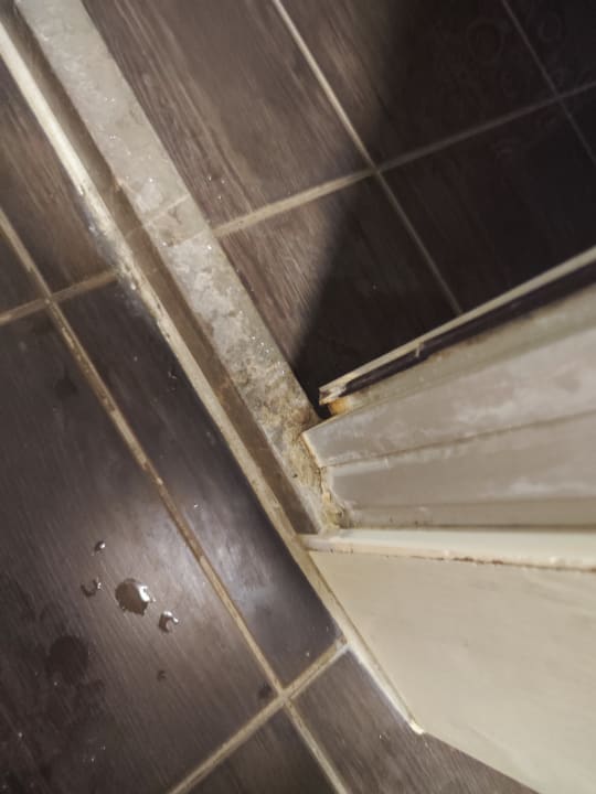 Zimmer Ambassador Plaza Hotel