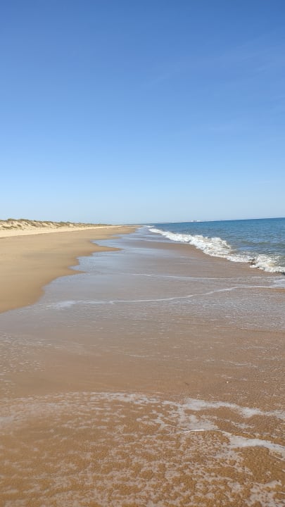 Strand Garden Playanatural - Adults only