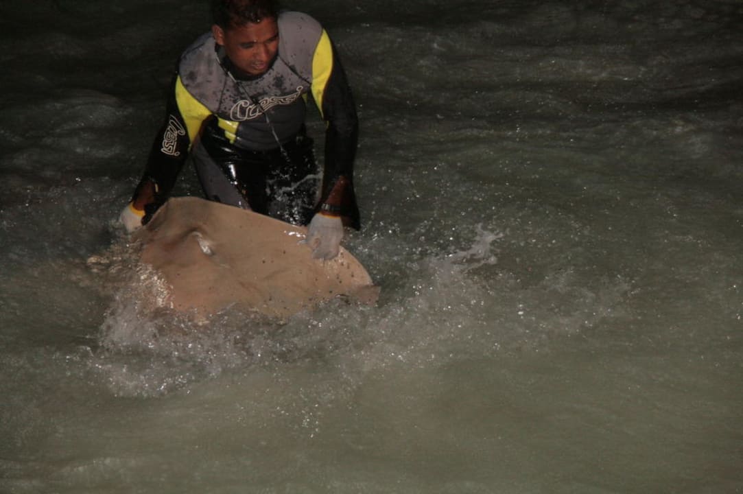 Am Strand Kuramathi Maldives