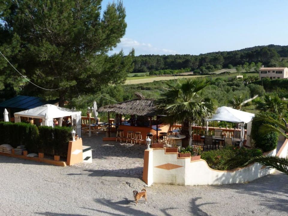 Finca Montana / Gemeinschaftsterrasse mit Bar Finca Montana
