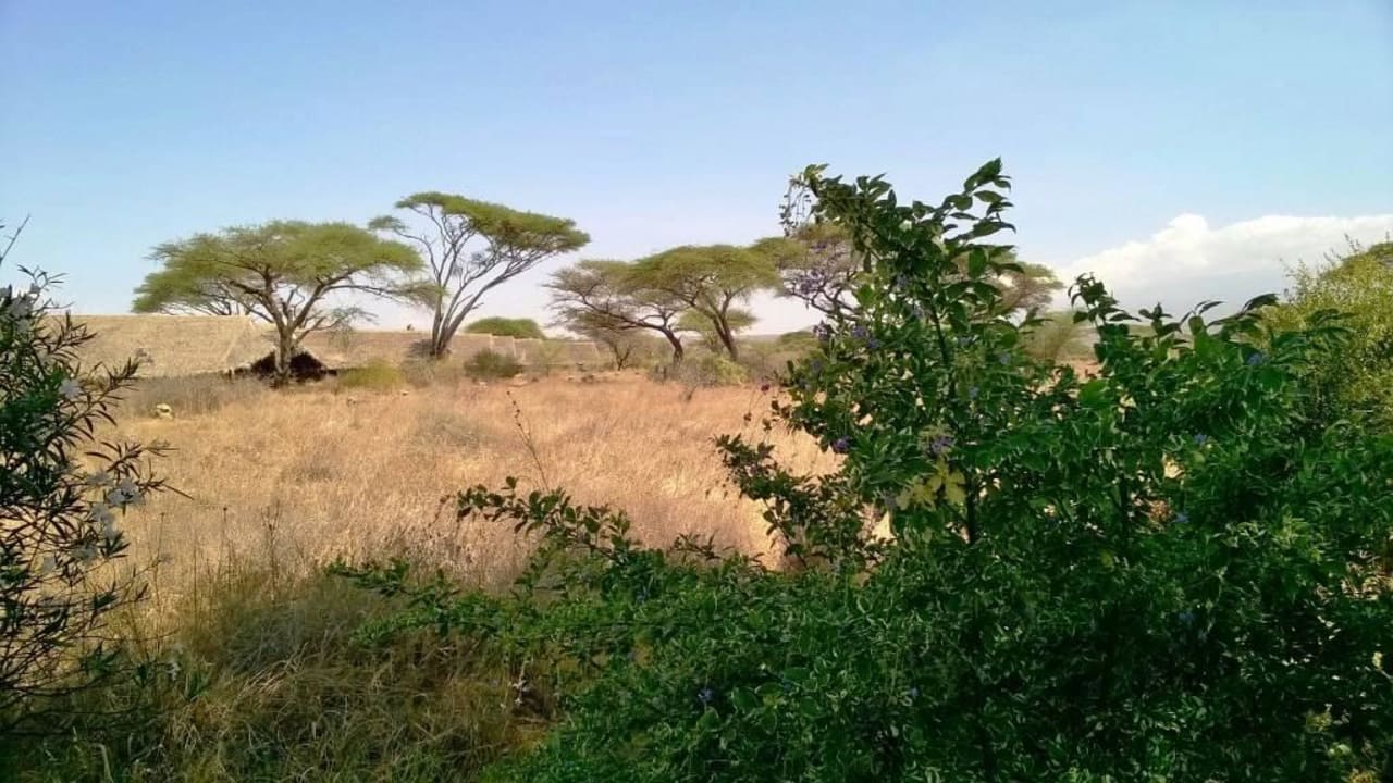 Ausblick vom Pool Kibo Safari Camp