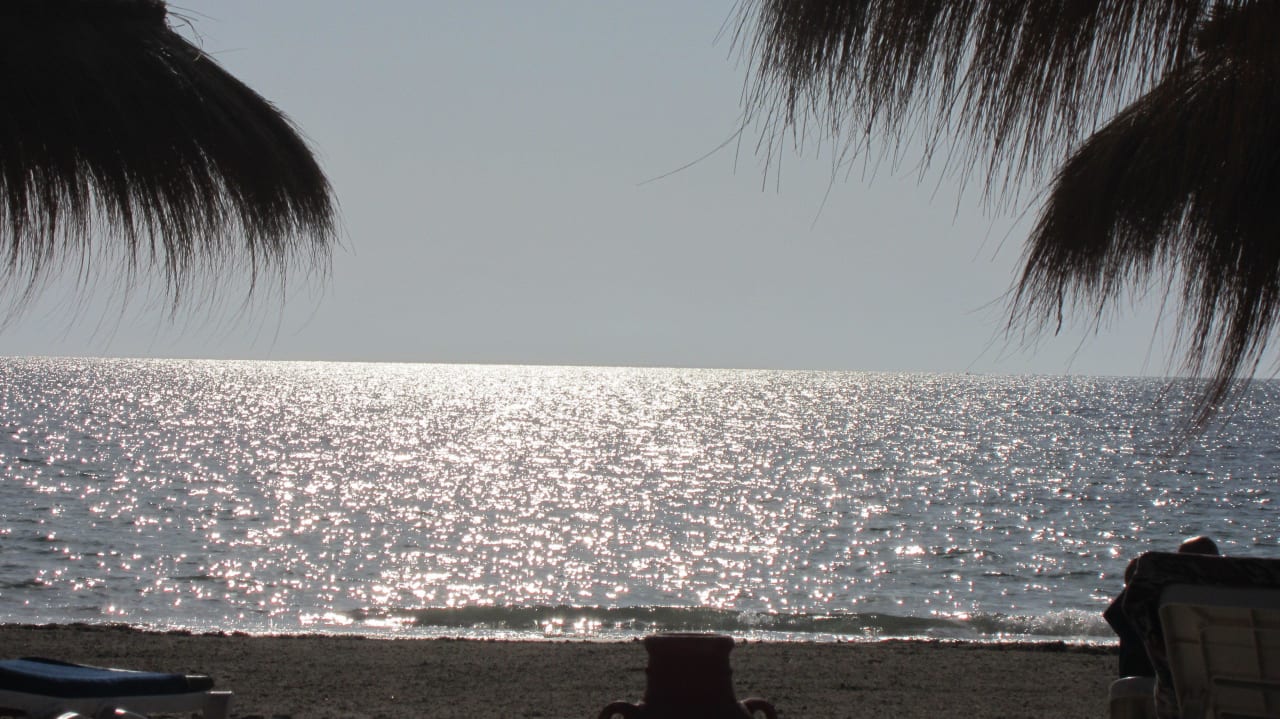 Morgens am Strand Hotel El Mouradi Djerba Menzel