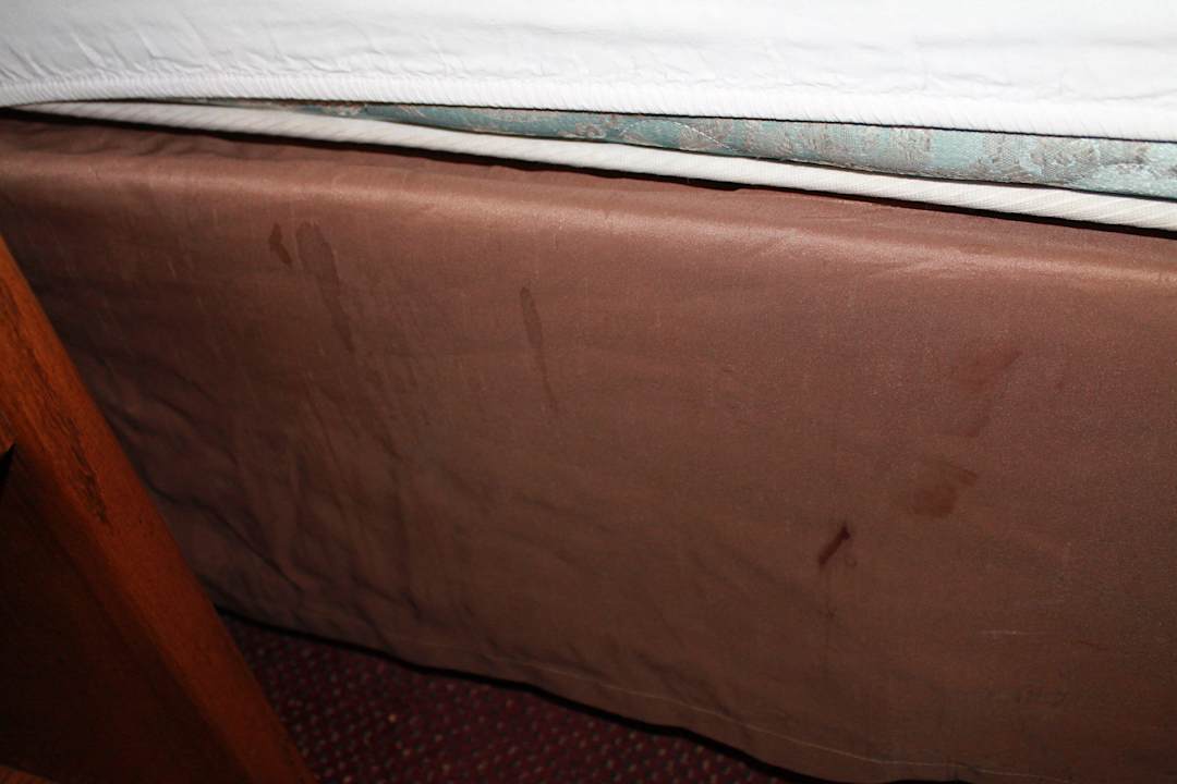 Bett Hotel Quality Inn Kingman