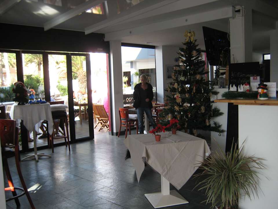 Weihnachtsbaum Hotel Ocean World