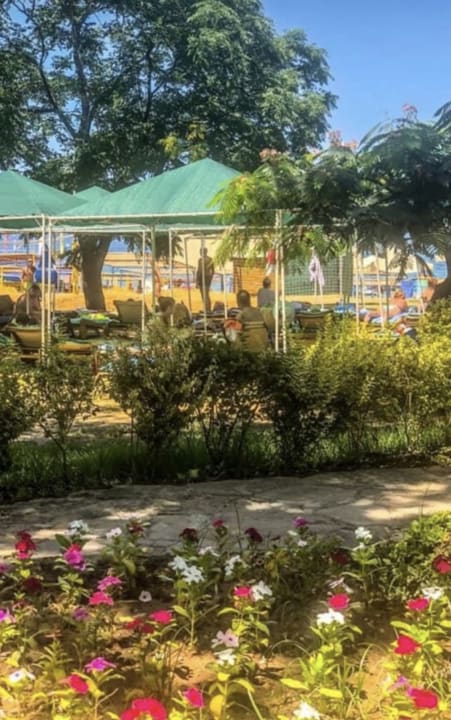 Ausblick Armas Green Fuğla