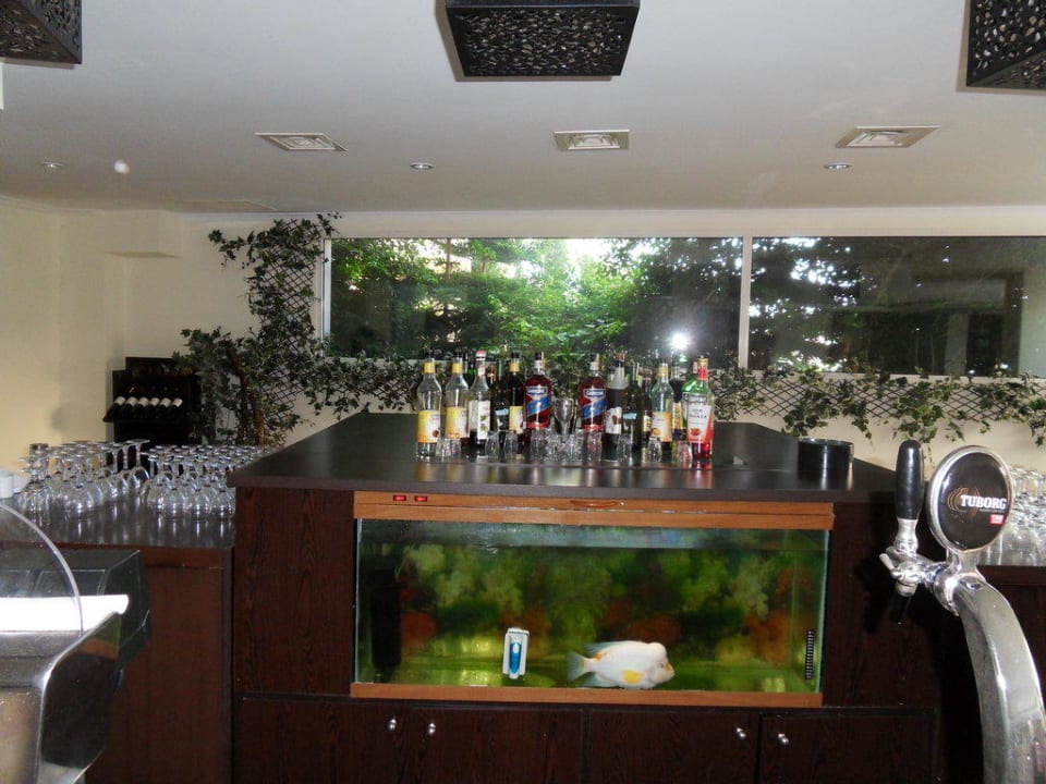 Winzige und minimalistisch ausgestattete Bar Sealight Resort Hotel
