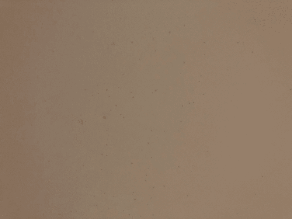 Zimmer Vantaris Palace