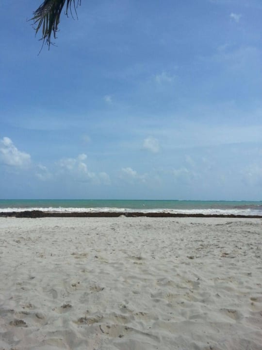 Hotel Catalonia Playa Maroma Catalonia Playa Maroma