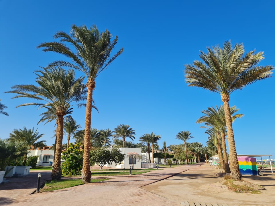Außenansicht Pharaoh Azur Resort