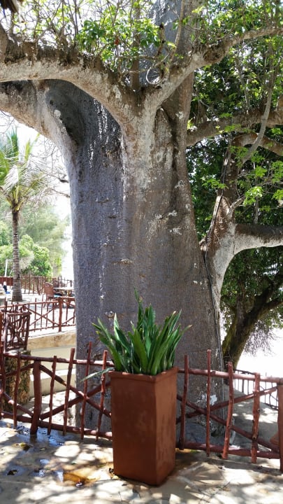 Hotel Baobab Beach Resort Baobab Beach Resort & Spa