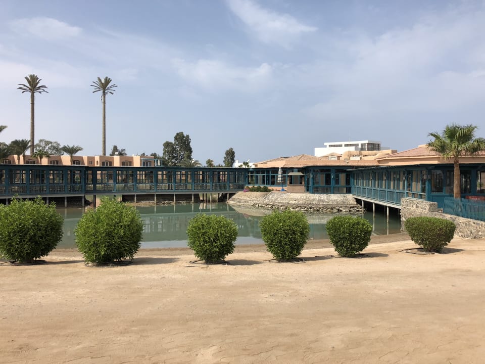 Gastro Club Paradisio El Gouna, Red Sea