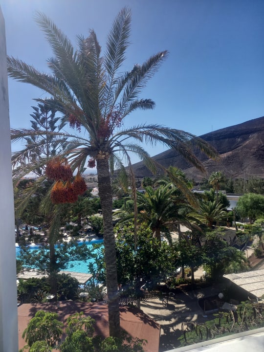 Gartenanlage allsun App.-Hotel Esquinzo Beach