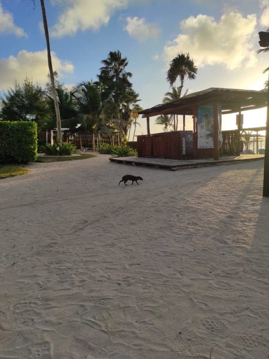 Strand Akumal Bay Beach & Wellness Resort