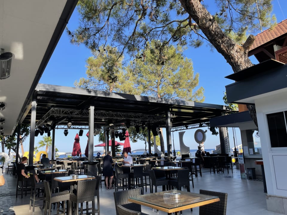 Gastro ROBINSON ÇAMYUVA