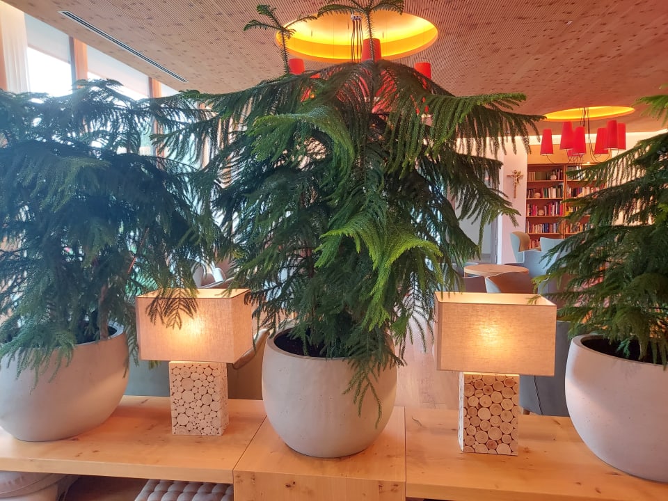 Sonstiges Dorfhotel Fasching