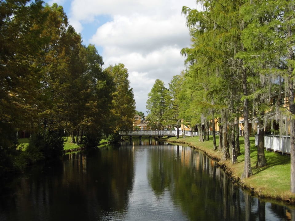 Teich mit viel Leben drin!  Saratoga Resort Villas