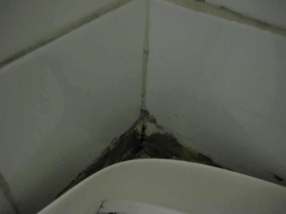 Runde Bio-Ecken Hotel Gloria Budapest City Center