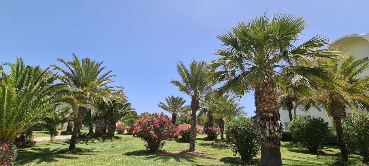 Gartenanlage TUI MAGIC LIFE Penelope Beach