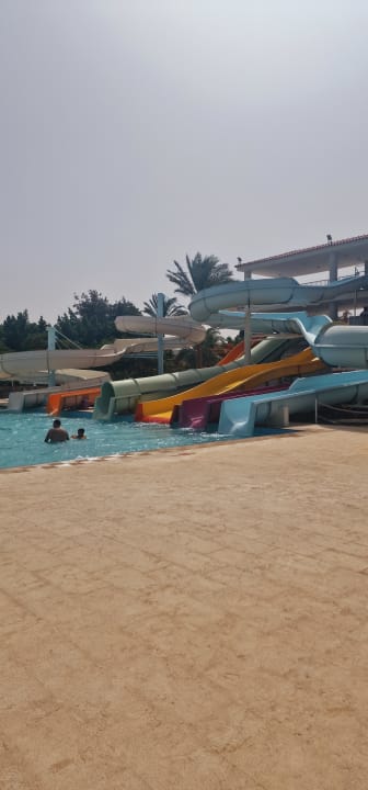 Sport & Freizeit Desert Rose