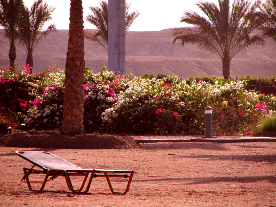 Im Hintergrund die Wüste Jaz Solaya