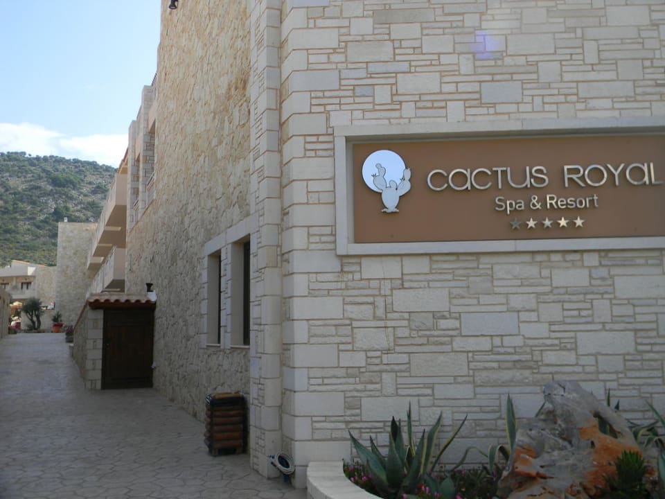 Straßenseite Cactus Royal